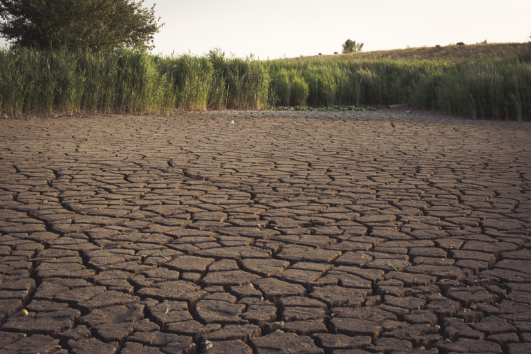 Are You Leaking and Learning as Leaders?