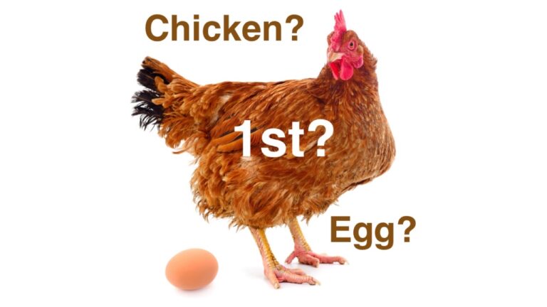 Which came first, the chicken or the egg?